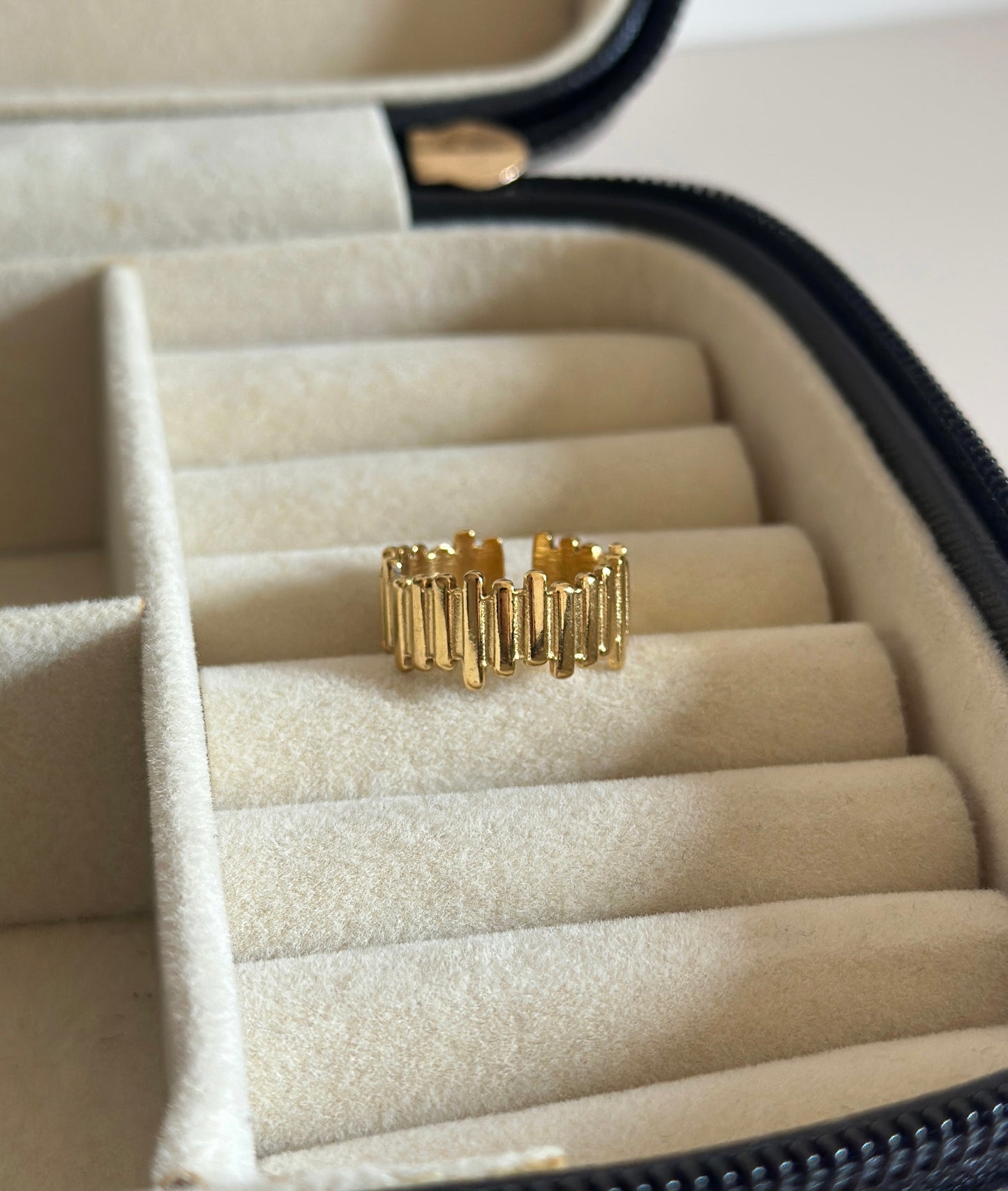 Dana Ring