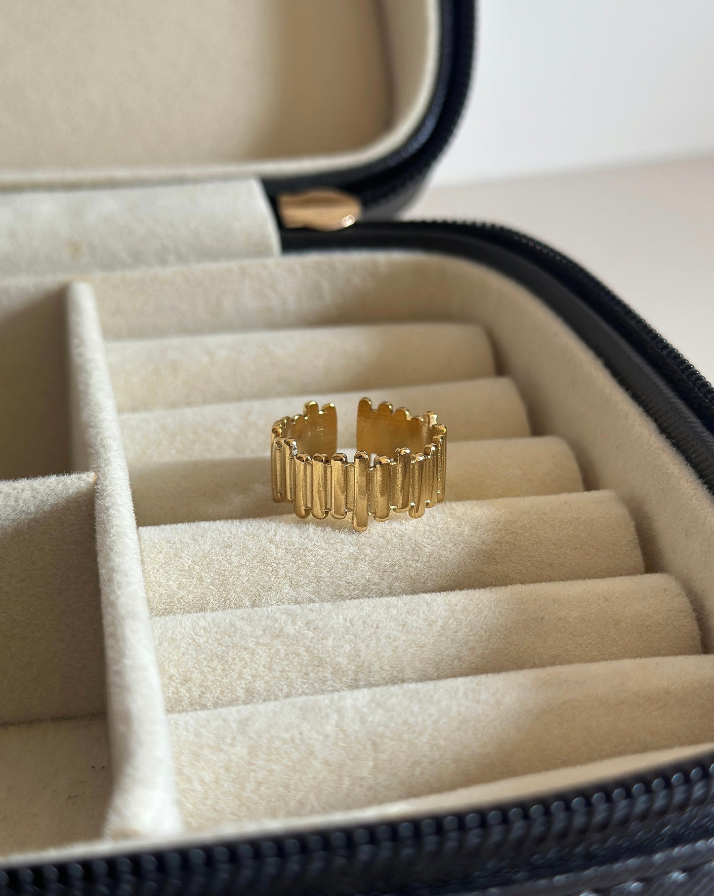Dana Ring