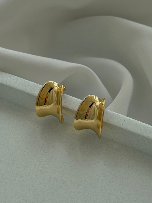 Cannon Earrings